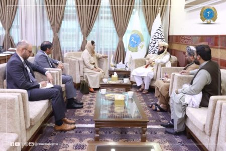 Minister of Public Health Engages with UNAMA Delegation